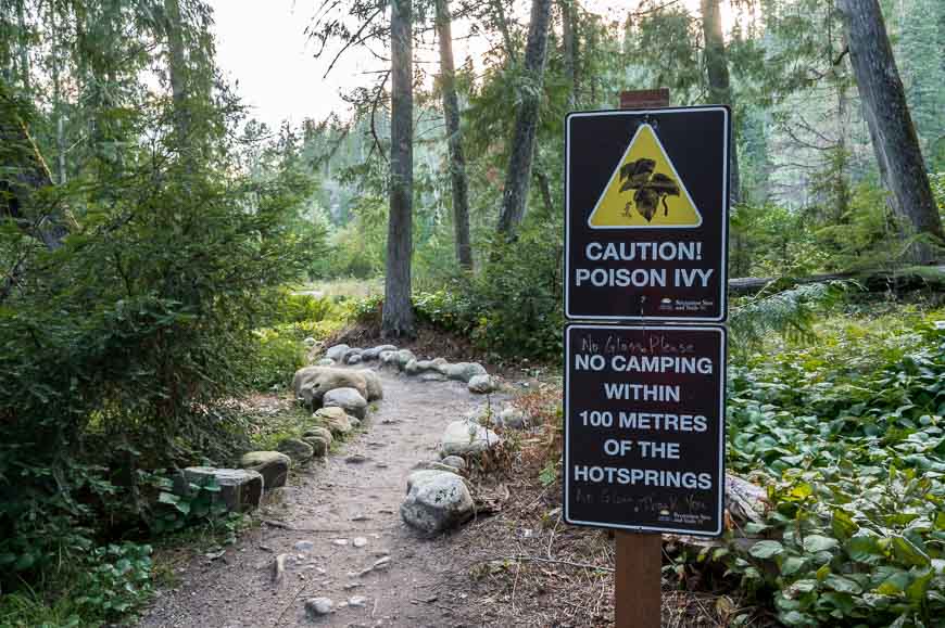 Beware of poison ivy at Halfway Hot Springs