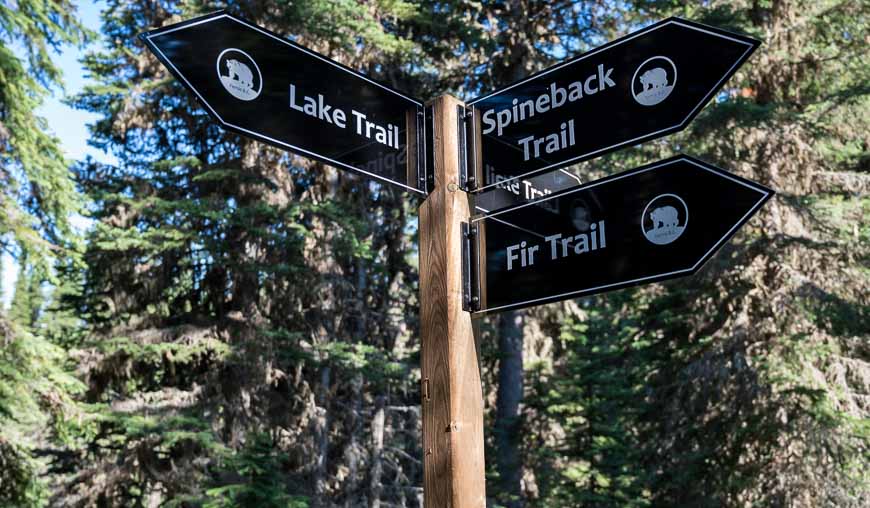 Lots of trail signage around Island Lake Lodge