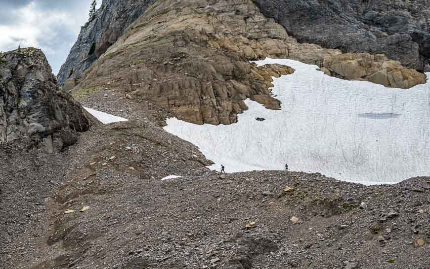 Humans look ants on the Goldilocks Trail