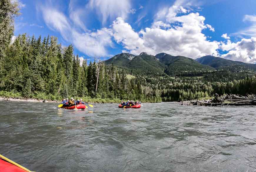 Rafting an easy section of the Illecillewaet River near Revelstoke