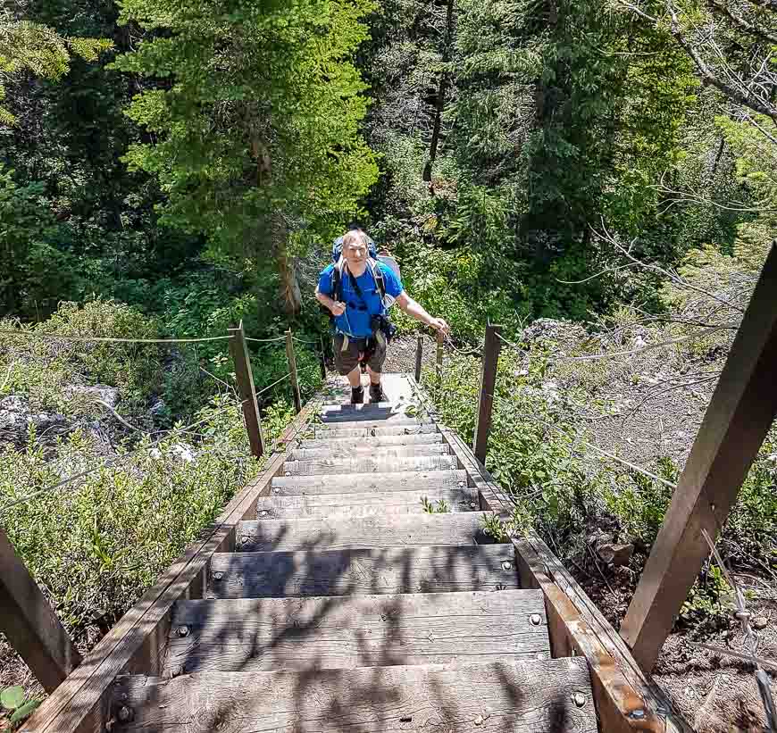 Stairs that lead to the Tamarack Trail Viewpoint