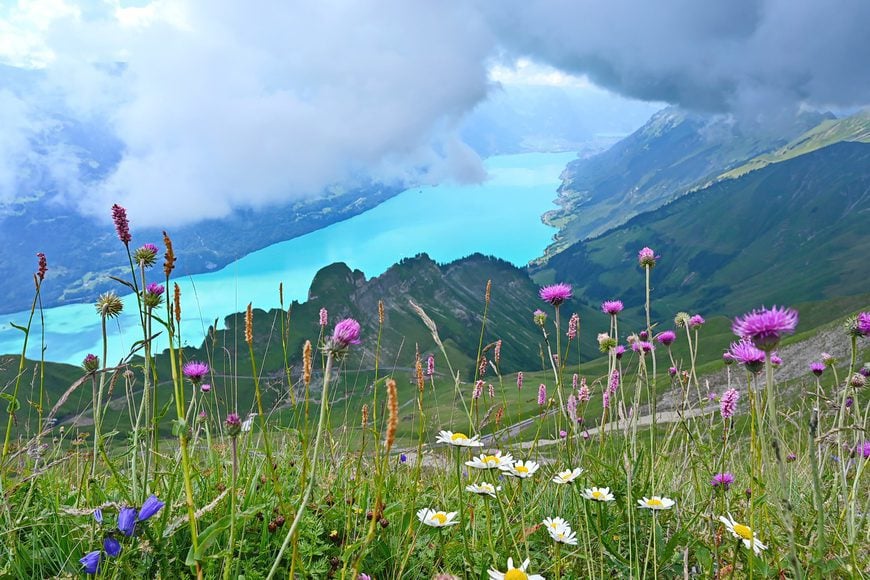 Views of Lake Brienz from Brienzer Rothorn