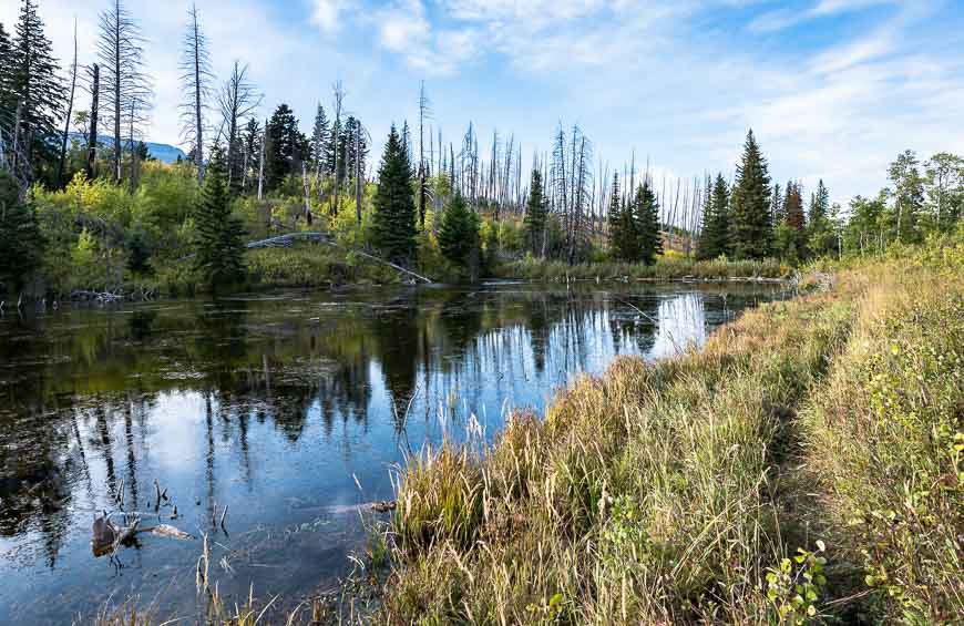 The Beaver Pond Loop hike