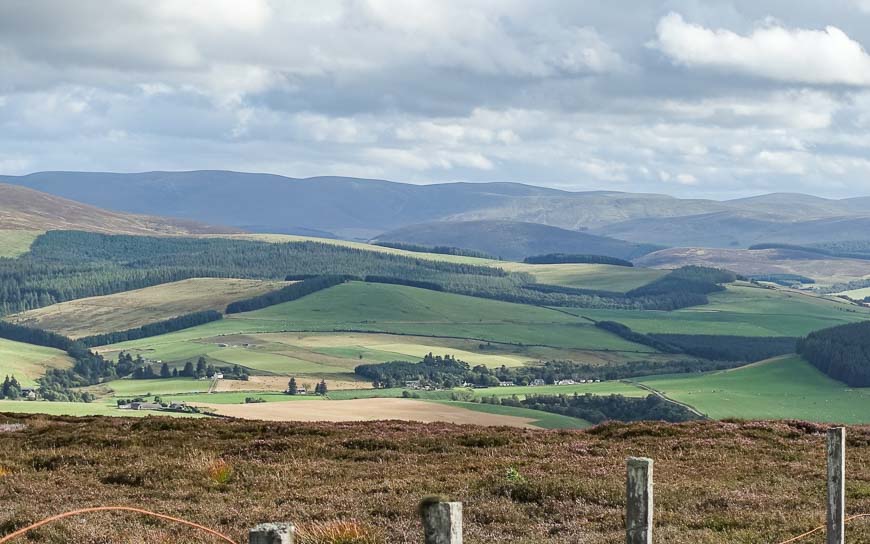 The heather grew in wet peaty soil 