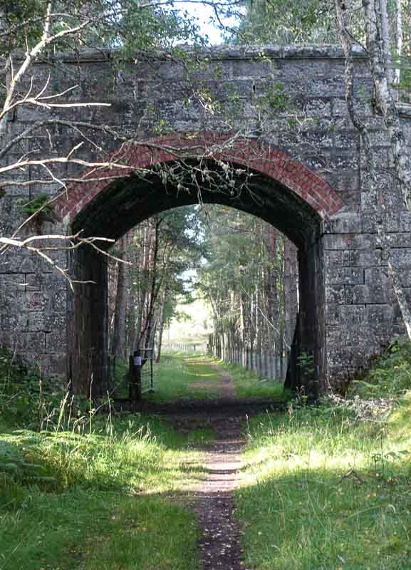 Another lovely rail trail