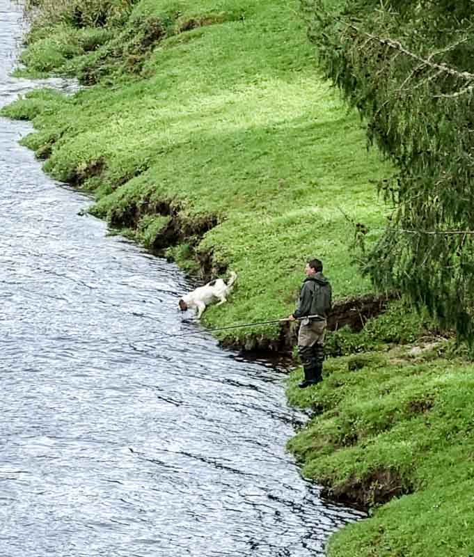 Fly fishing on the Spey