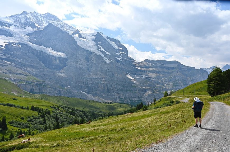 Mountain scenery on the descent towards Wengen