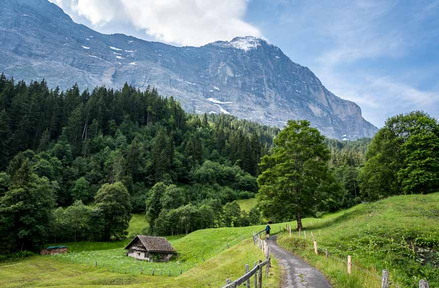 On the way to Kleine Scheidegg on the Via Alpina in Switzerland