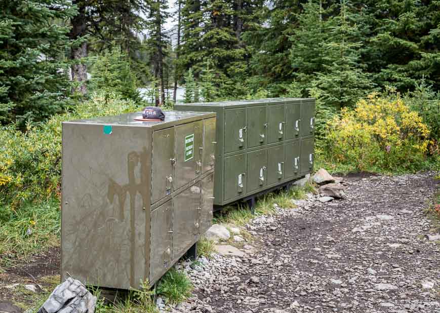 Bear boxes at Elbow Lake Campground