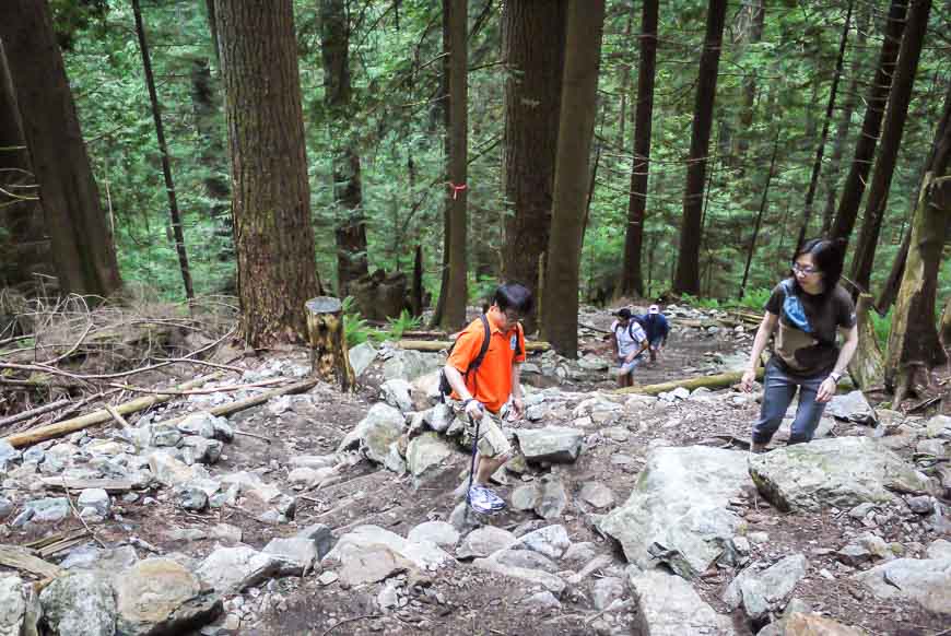 The Grouse grind is a massive stair stepper in the forest and one of the top things to do in North Vancouver