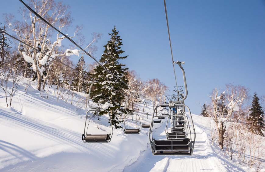 Beautiful trees at Kiroro Ski Resort