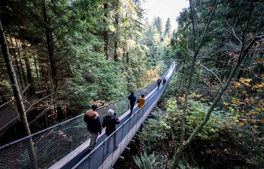 The suspension bridge gets crowded in short order