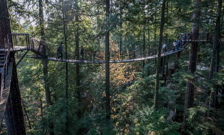 Walking through the Treetops at Capilano Suspension Bridge Park