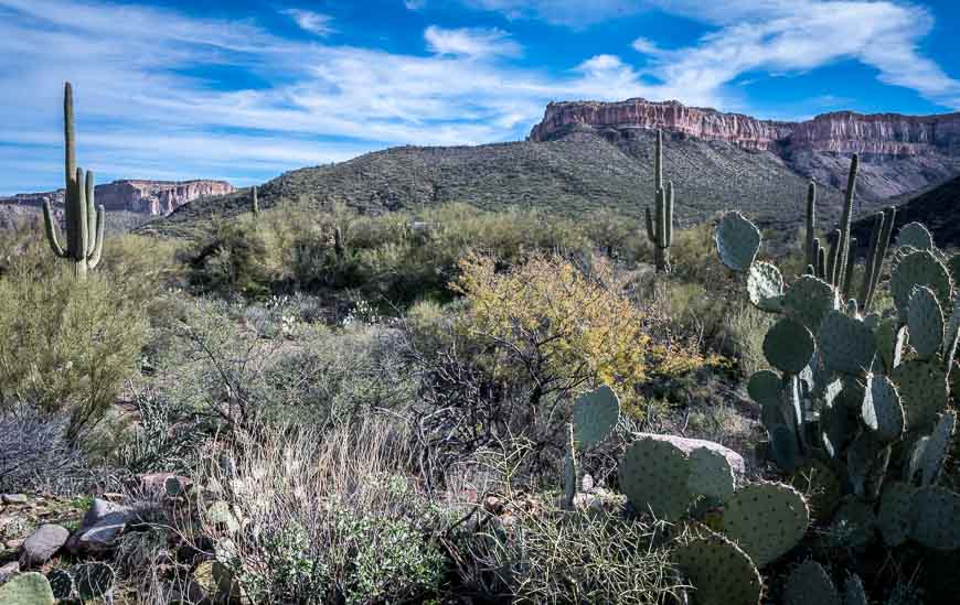 Dramatic scenery near the start of the Aravaipa Canyon hike