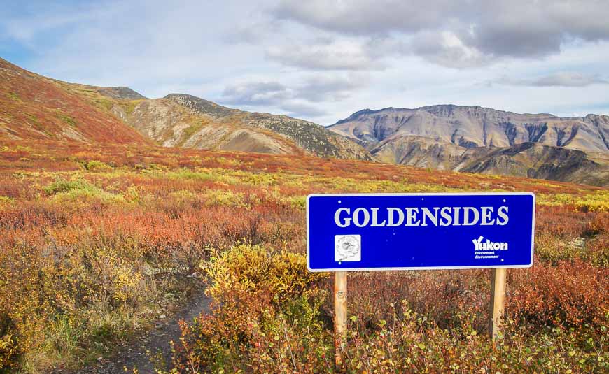 The start of the Goldensides hike in Tombstone Territorial Park