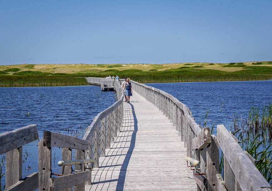 Lovely boardwalk section in PEI National Park