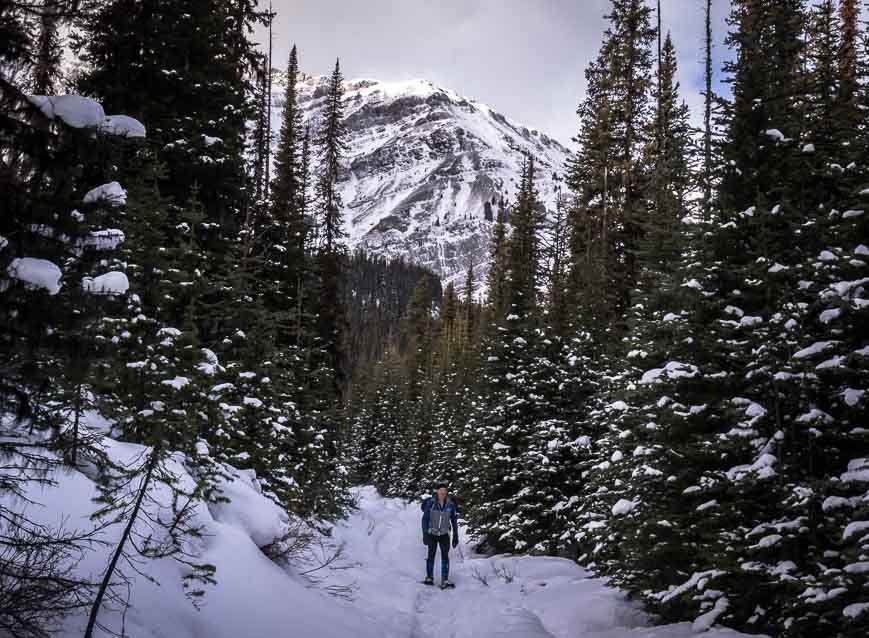 Some grand scenery in places on the snowshoe loop