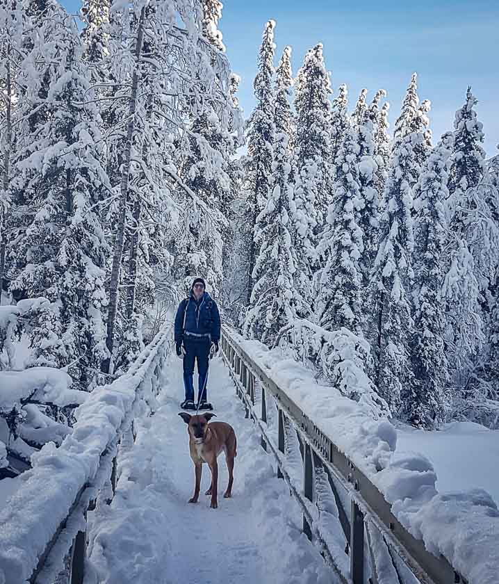 Ribbon Creek snowshoeing in a winter wonderland