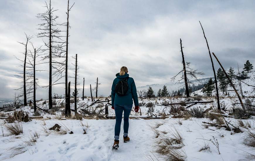 The easy Bear Creek Falls hike in Kelowna