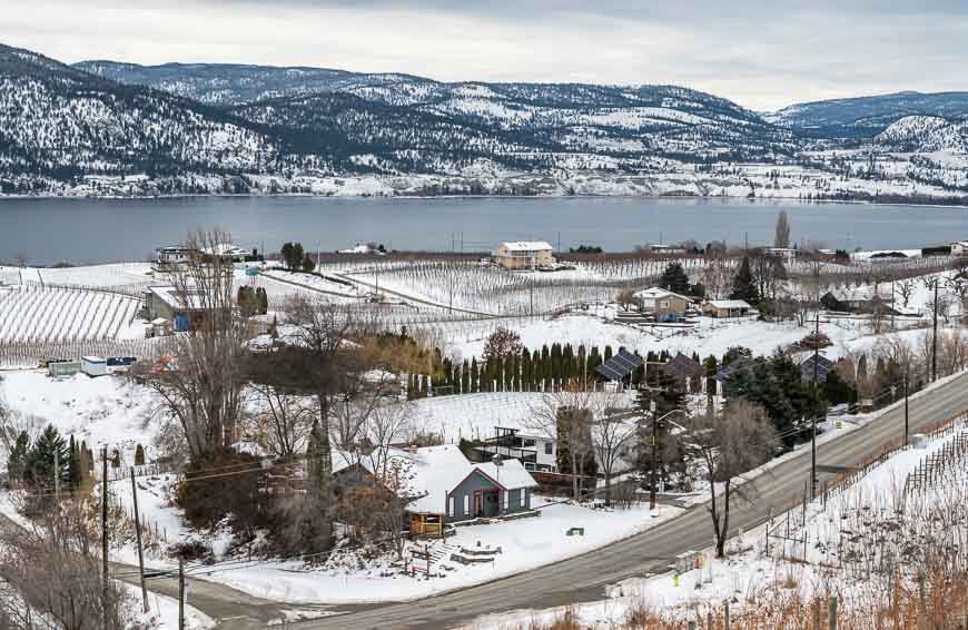 The vineyards along Okanagan lake are still beautiful on a cloudy day