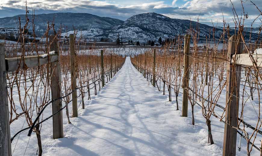 Little Engine winery in winter