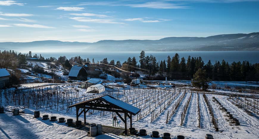 Spectacular vineyard views from Summerhill Pyramid Winery