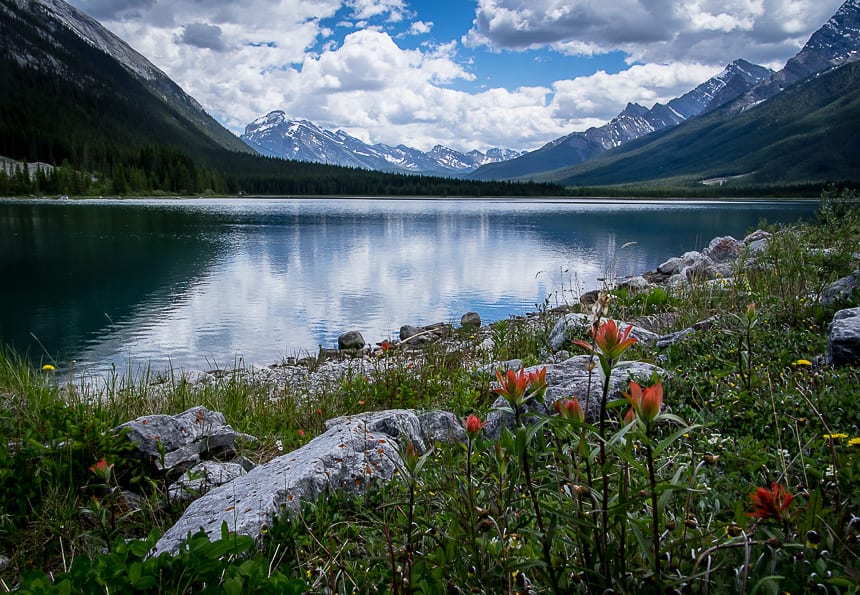 One of the really pretty sections of the High Rockies Trail 