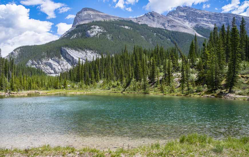 Nice view of Ha Ling Peak from the High Rockies Trail