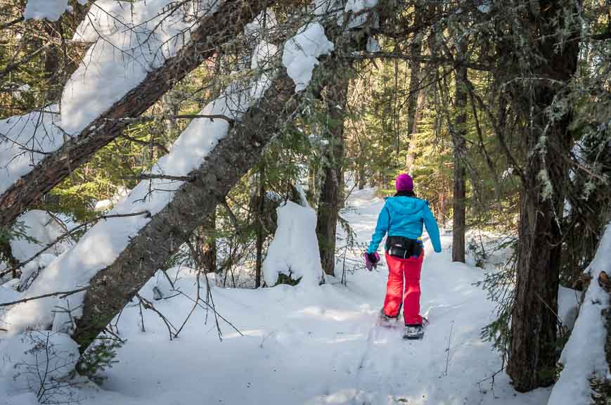 We never saw another soul on the snowshoe trails on our Quetico in winter girls getaway