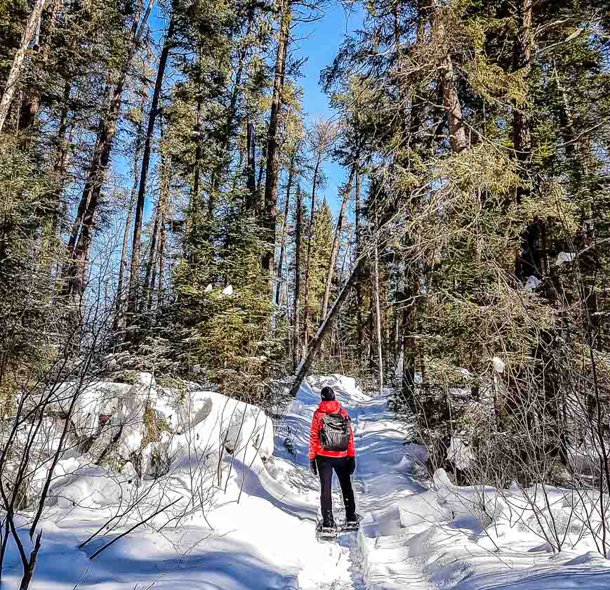 Truly glorious snowshoeing trails