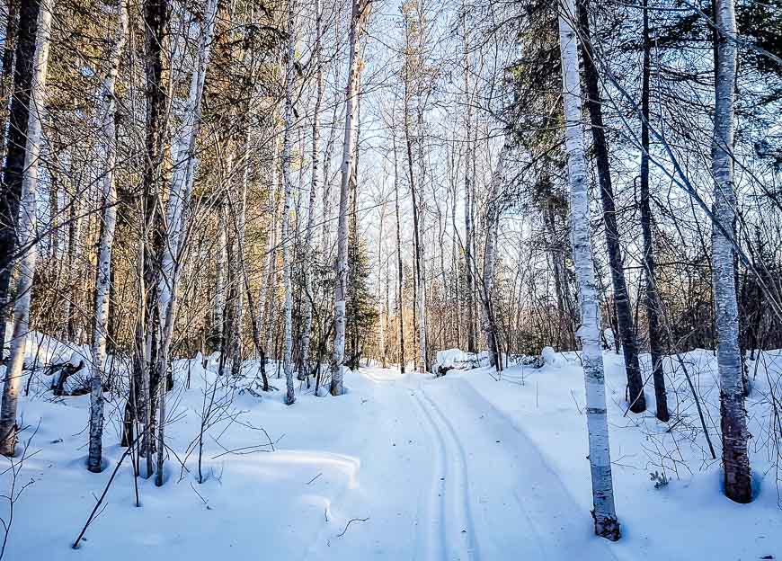 Cross-country skiing on the Camp 111 Trail