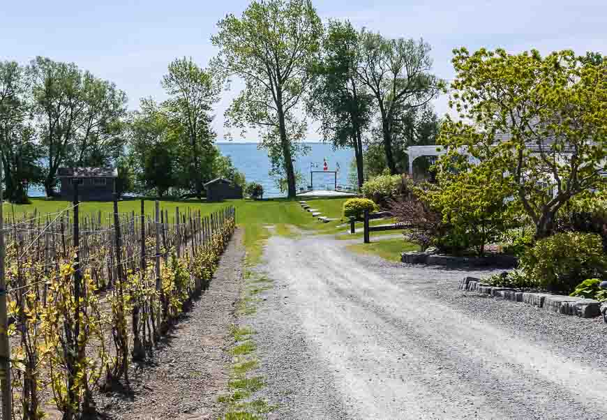 Lots of wineries to break up the drive in Prince Edward County