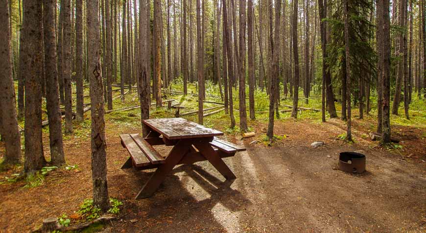 Camping for beginners means making extra effort and walking to private campsites