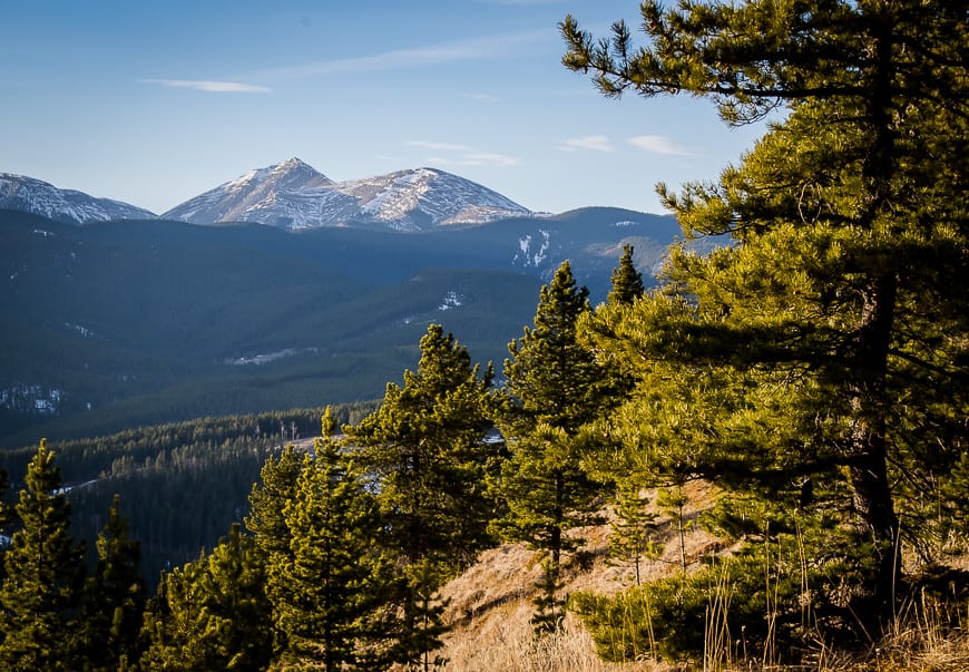 Moose Mountain seen from the Fullerton Loop hike - one of the easy hikes in Kananaskis