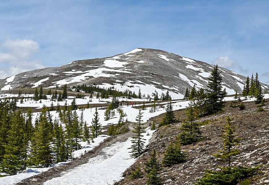 Moose Mountain in mid-May 2020 with plenty of snow in shady places