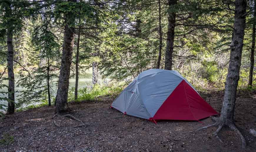 Our tent was on soft pine needles