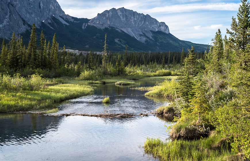 Easy Kananaskis hikes - View from the Many Springs Trail
