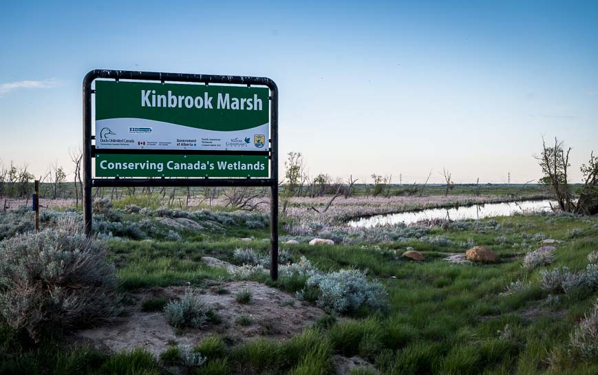 From the road into the park you can access Kinbrook Marsh