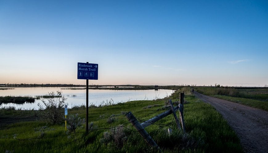 Phenomenal birding in June along the Kinbrook Marsh Trail