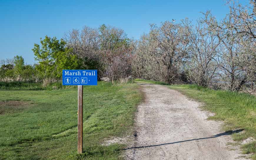 The start of the Marsh Trail by campsite I-136