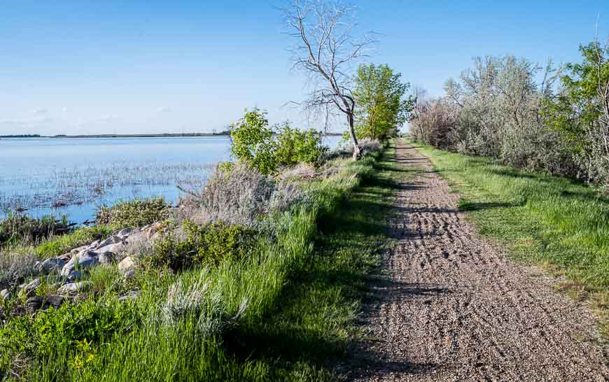 It's a flat easy walk on the Marsh Trail in greener than normal Canadian badlands scenery