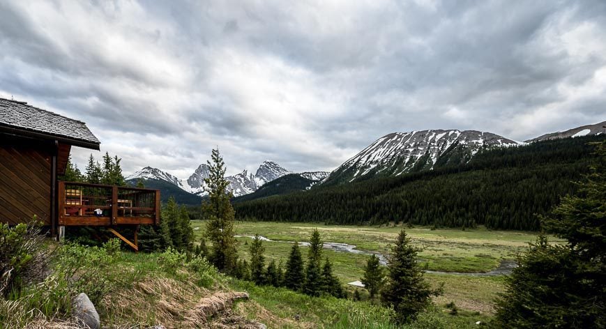 What a view of the meadow