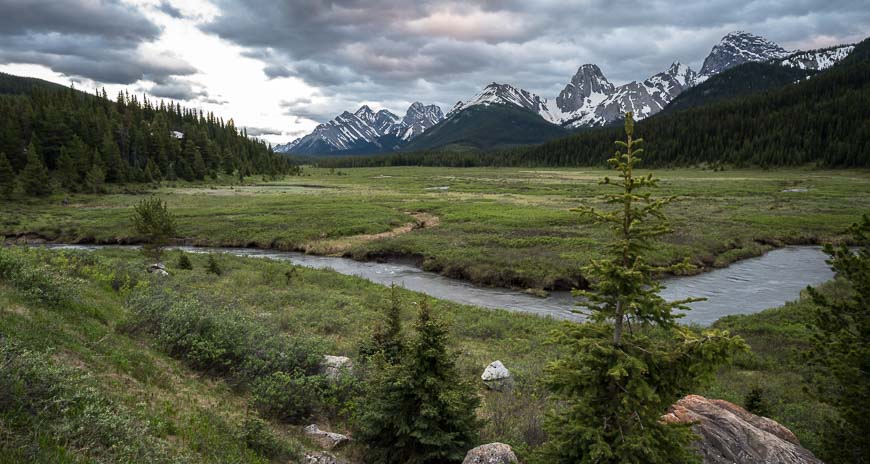 Looking across the meadows where 4 grizzly bears were seen in late June