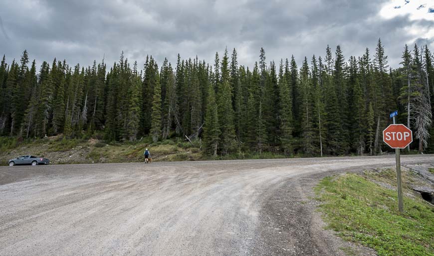 The trailhead for the lake is directly across from turnoff to the Mt Shark Road 