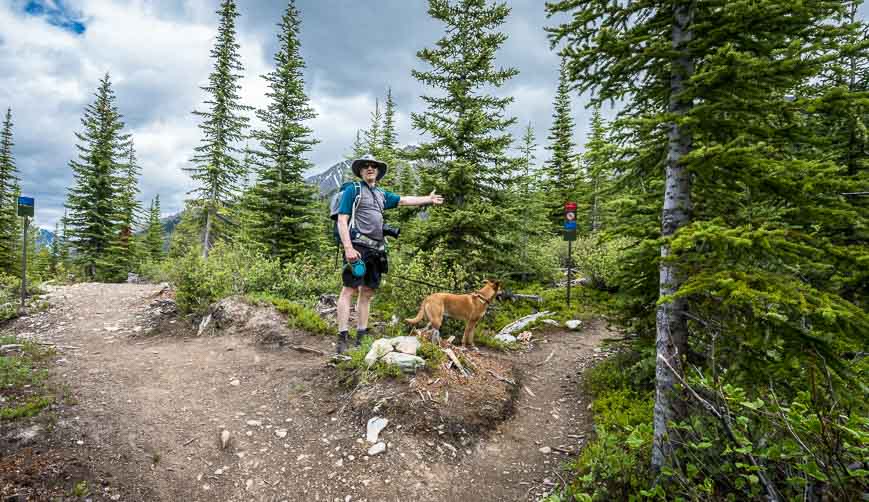 Leaving the High Rockies Trail