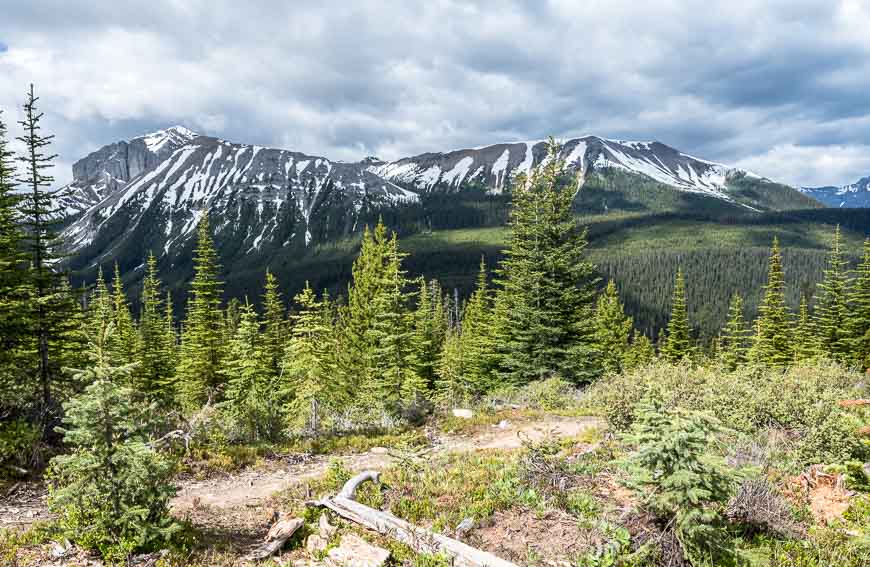 Admiring Tent Ridge