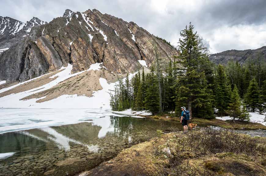 Clear cold water at Rummel Lake - one of the east Kananaskis hikes