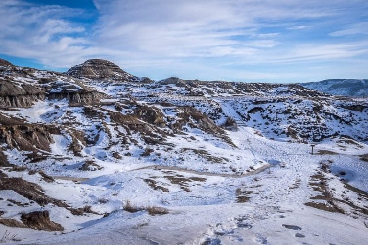 The Interpretive Trail behind the Royal Tyrrell Museum is easy to follow even in winter