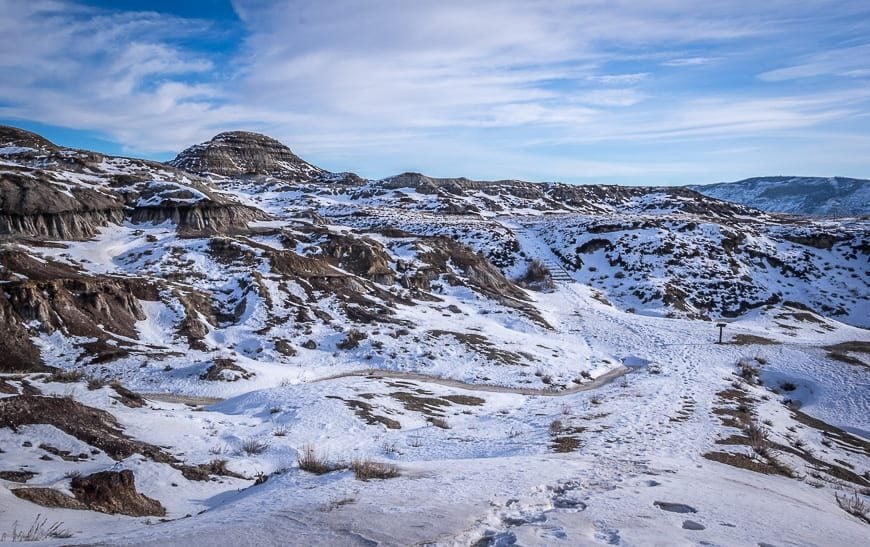 The Interpretive Trail behind the Royal Tyrrell Museum is easy to follow even in winter