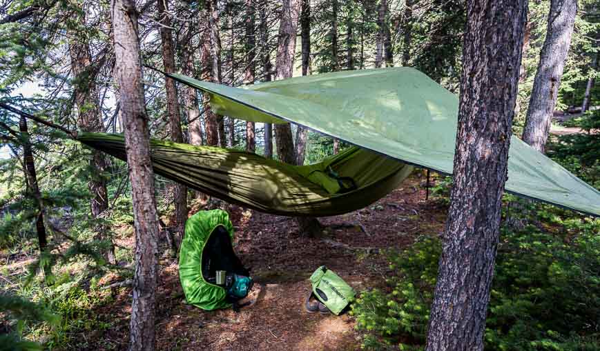 Who has slept in a hammock?